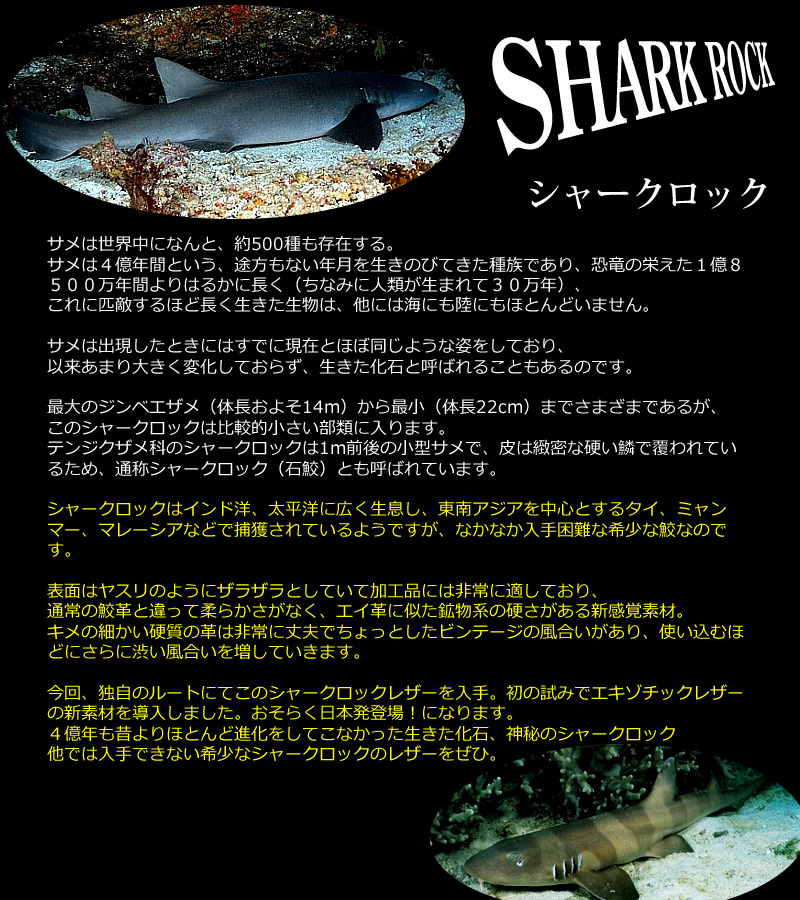 sharkrock01
