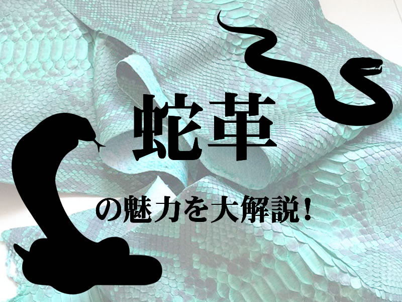 ヘビ革の本当の魅力をエキゾチックレザー専門店が大解説！ | MUDMONKEY